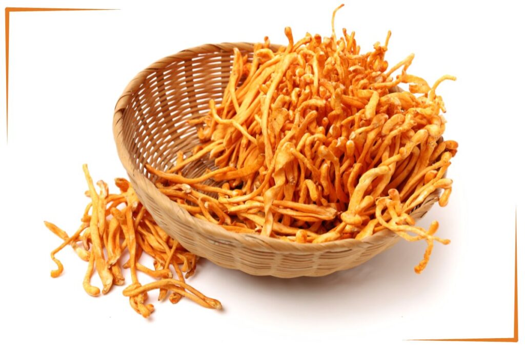 Cordyceps in a wooden bowl. 