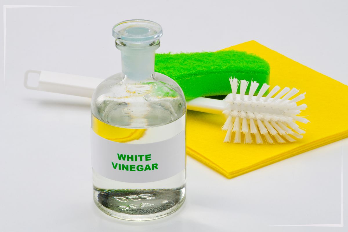 A clear bottle labeled "White Vinegar" sits on a white surface. Behind it, there's a dish brush with white bristles, a green sponge, and a yellow cleaning cloth. The items suggest a cleaning theme.